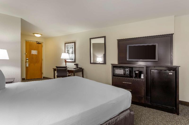 Best Western Gregory Hotel - Oda