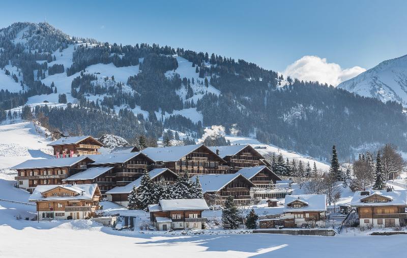 HUUS Gstaad Hotel - Genel