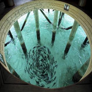 Centara Ras Fushi Resort & Spa Maldives fotoÄŸrafÄ±