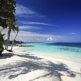 Centara Ras Fushi Resort & Spa Maldives fotoÄŸrafÄ±