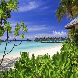 Centara Ras Fushi Resort & Spa Maldives fotoÄŸrafÄ±