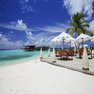 Centara Ras Fushi Resort & Spa Maldives fotoÄŸrafÄ±