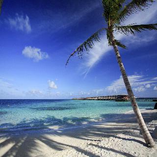 Centara Ras Fushi Resort & Spa Maldives fotoÄŸrafÄ±