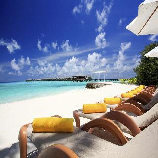 Centara Ras Fushi Resort & Spa Maldives fotoÄŸrafÄ±