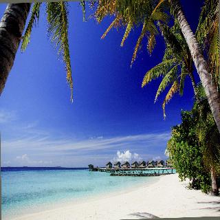 Centara Ras Fushi Resort & Spa Maldives fotoÄŸrafÄ±