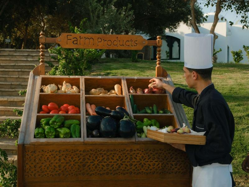 Mövenpick Sharm El Sheikh - Genel