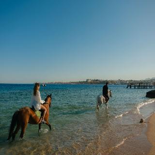 Mövenpick Sharm El Sheikh fotoÄŸrafÄ±