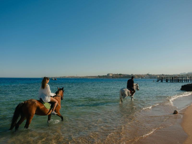 Mövenpick Sharm El Sheikh - Genel