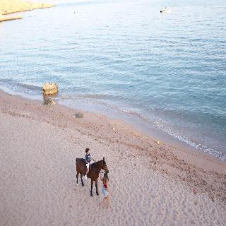 Mövenpick Sharm El Sheikh fotoÄŸrafÄ±