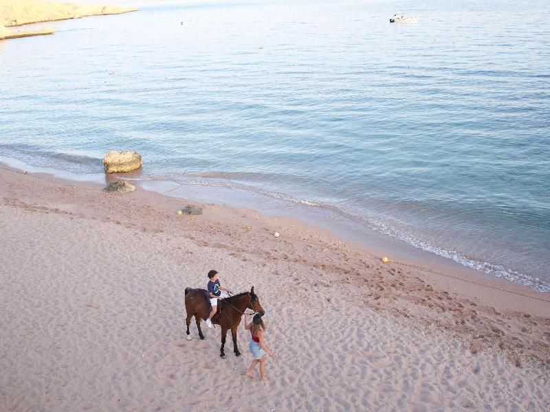 Mövenpick Sharm El Sheikh - Genel