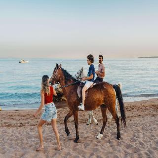 Mövenpick Sharm El Sheikh fotoÄŸrafÄ±