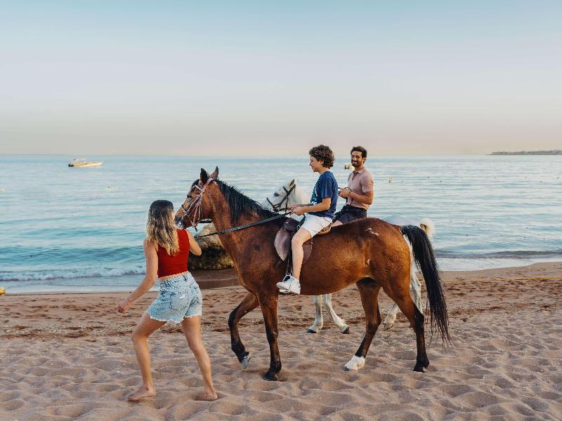 Mövenpick Sharm El Sheikh - Genel