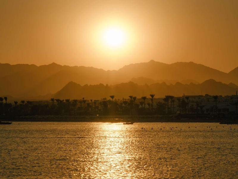 Mövenpick Sharm El Sheikh - Genel
