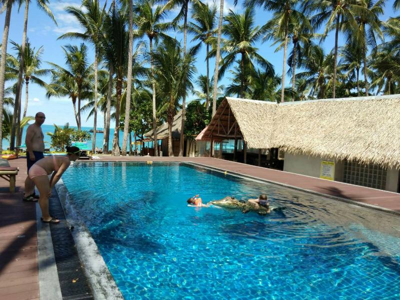 Coconut Beach Resort - Aktivite