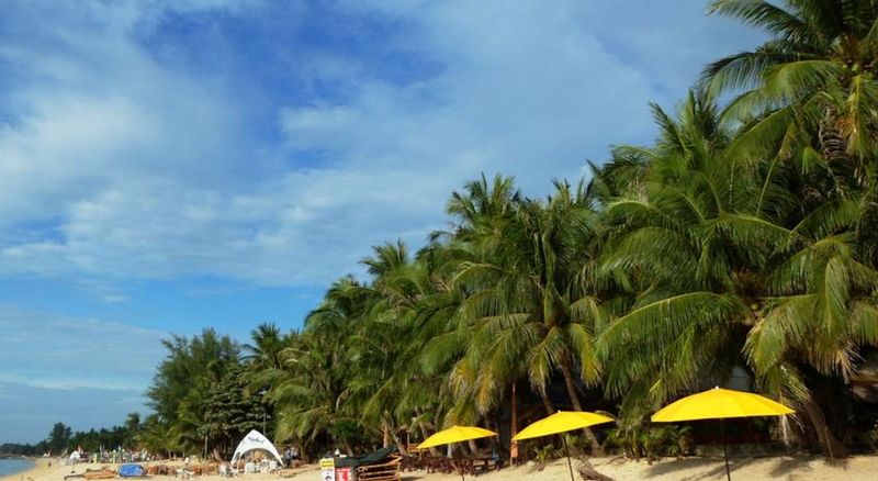 Coconut Beach Resort - Genel