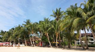 Coconut Beach Resort fotoÄŸrafÄ±