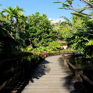 Centara Koh Chang Tropicana Resort fotoÄŸrafÄ±