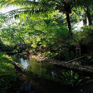 Centara Koh Chang Tropicana Resort fotoÄŸrafÄ±
