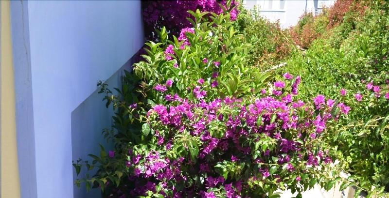 Mare Dei Suites Hotel - Genel