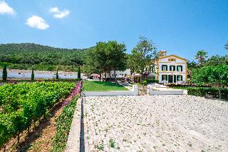 Hort Sant Patrici