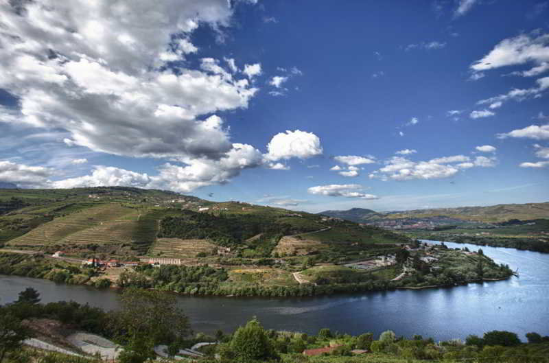 Delfim Douro Hotel otel fotoğrafı
