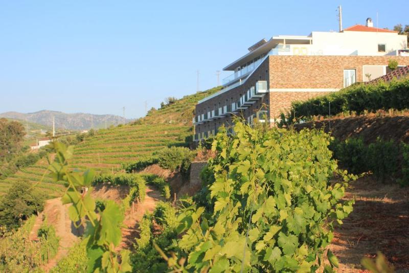 Delfim Douro Hotel - Genel