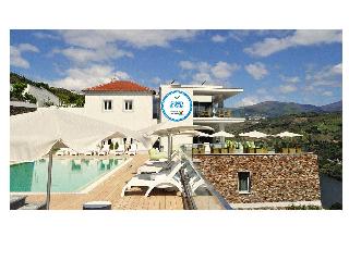 Delfim Douro Hotel fotoÄŸrafÄ±