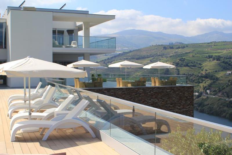 Delfim Douro Hotel - Havuz