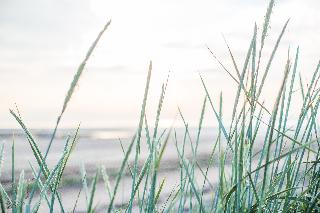 Marine Troon fotoÄŸrafÄ±