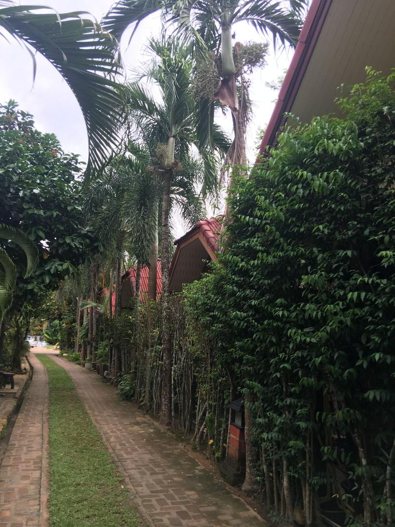 Green View Village Resort - Lobi