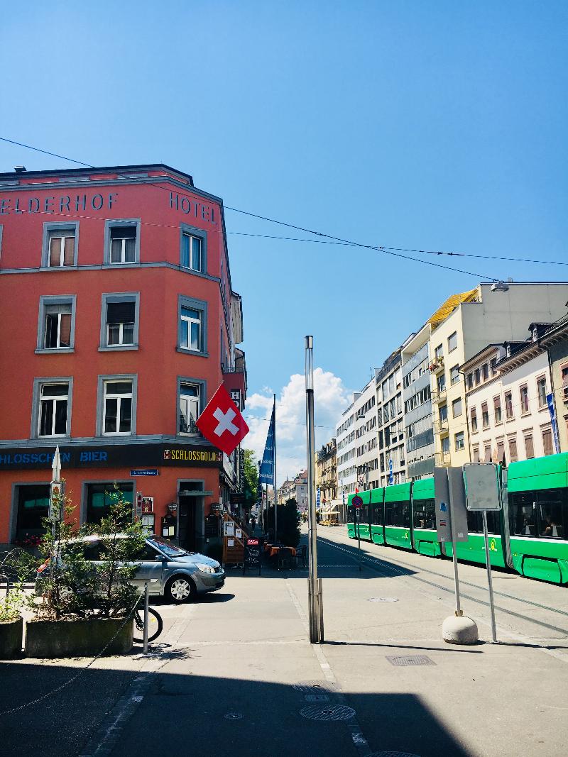 Rheinfelderhof - Genel