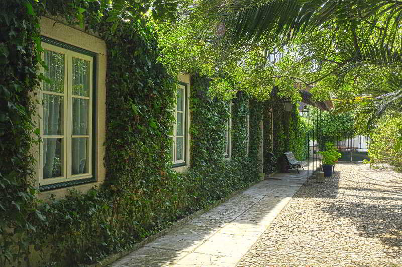 Casa do Foral fotoÄŸrafÄ±