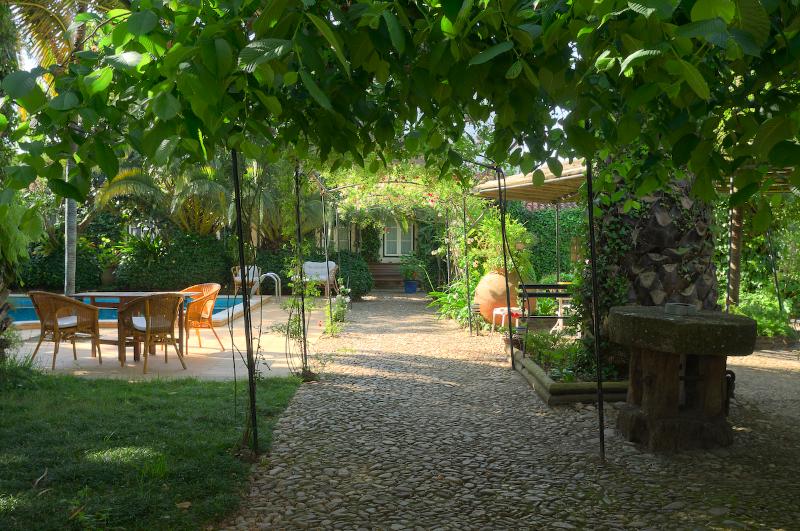Casa do Foral - Teras