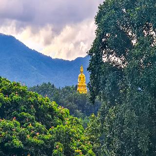 Chiangkhon Teak Garden Riverfront Hotel fotoÄŸrafÄ±