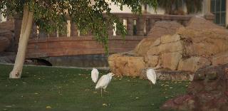 Palm Royale Resort fotoÄŸrafÄ±