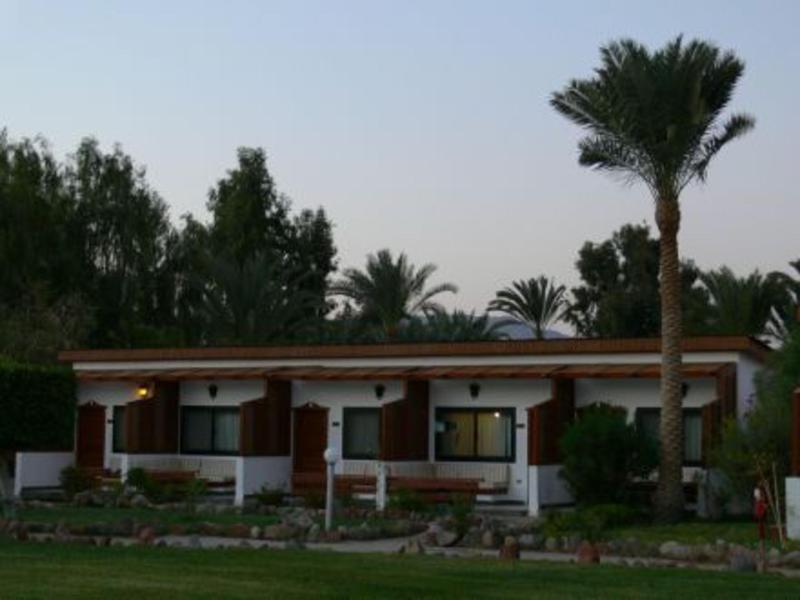 Nuweiba Club Resort - Teras