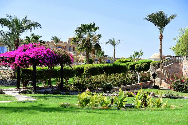 Utopia Beach Club - Genel