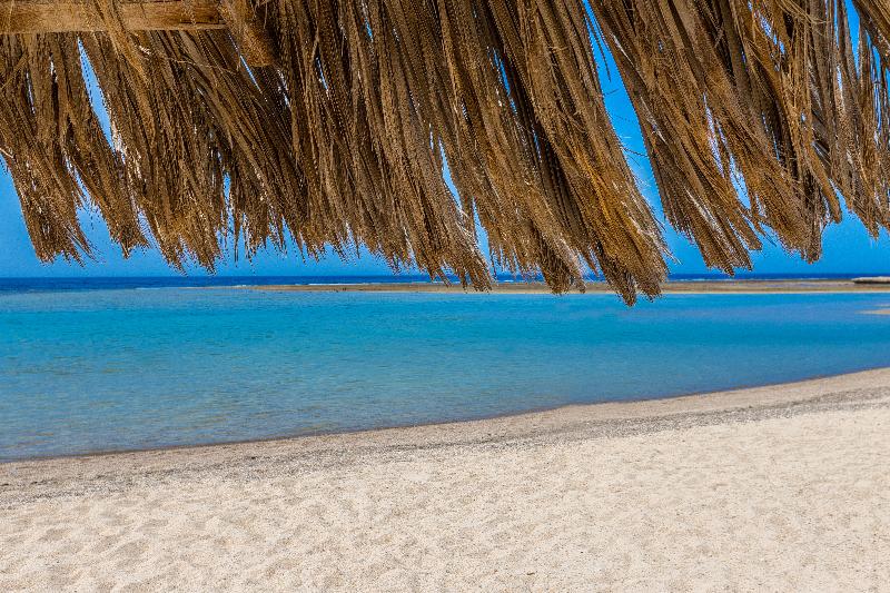 Utopia Beach Club - Plaj