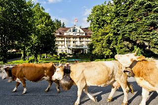 Le Grand Bellevue otel fotoğrafı