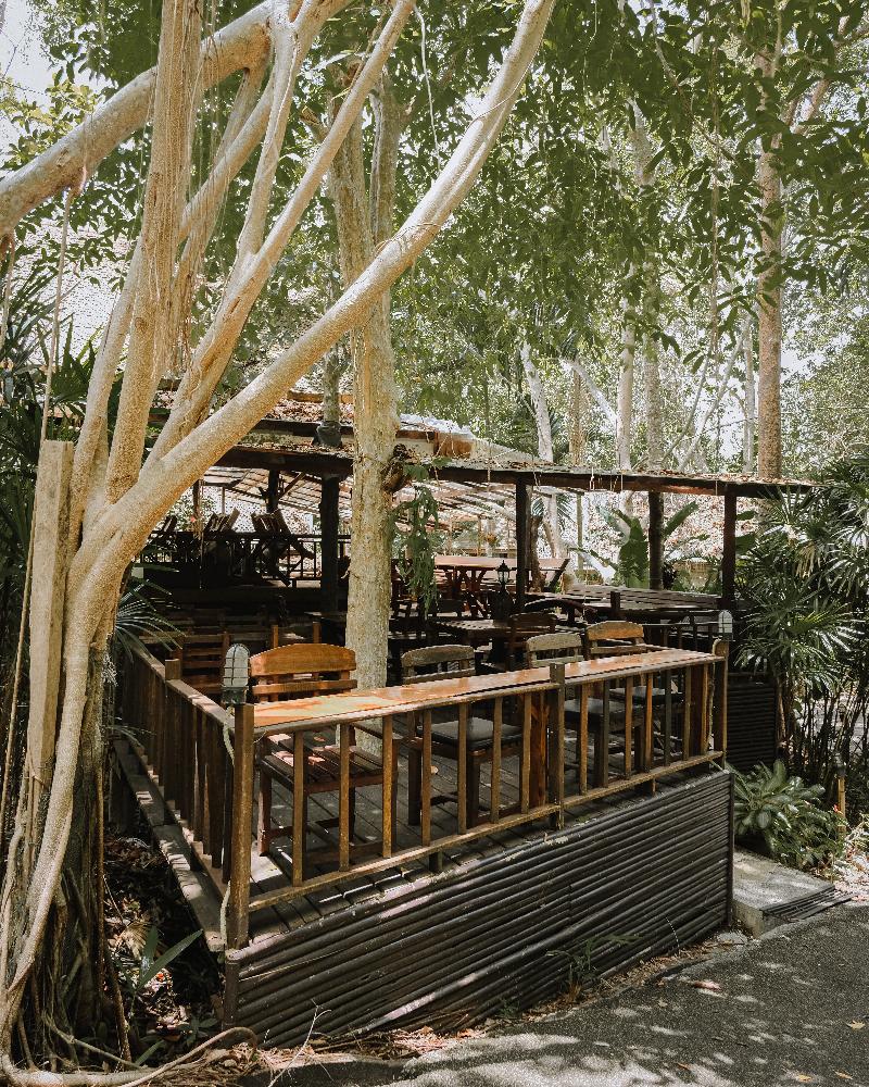 The Vatika Resort and Spa - Genel