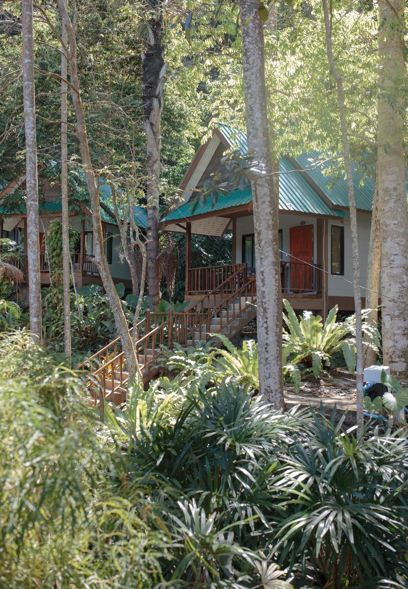 The Vatika Resort and Spa - Genel