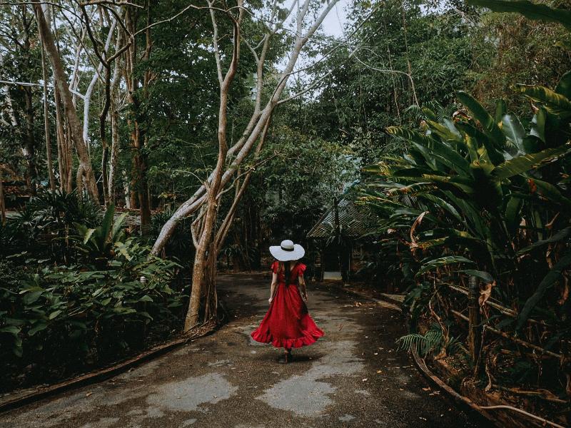 The Vatika Resort and Spa - Genel
