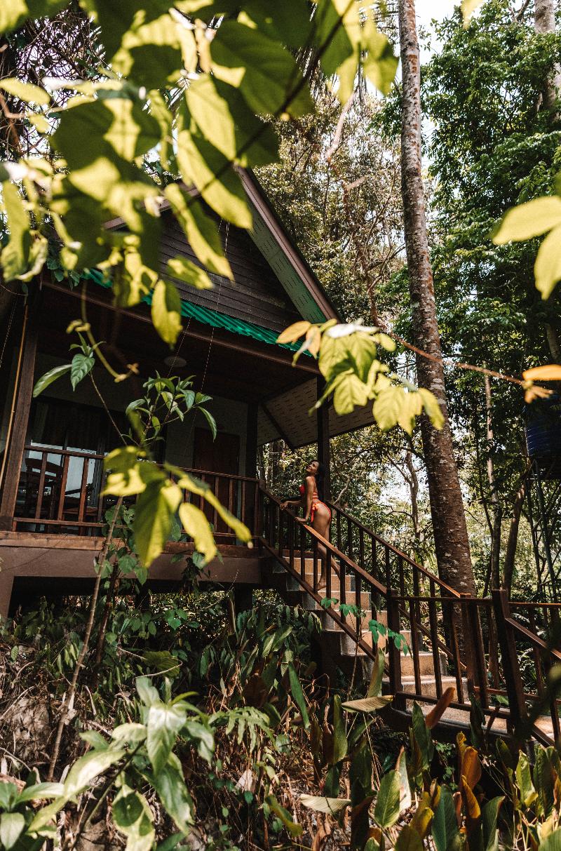 The Vatika Resort and Spa - Genel