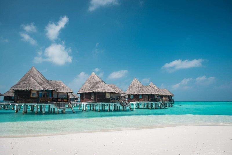 Coco Palm Dhuni Kolhu - Bar