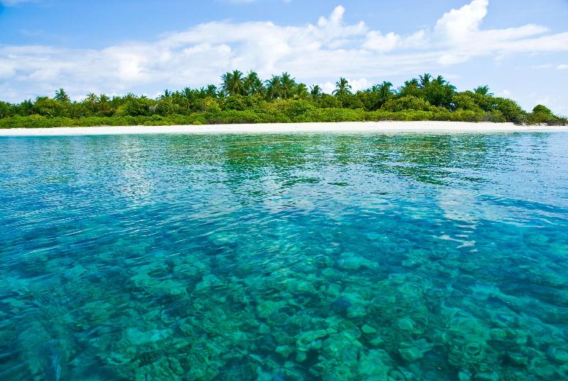 Coco Palm Dhuni Kolhu - Genel