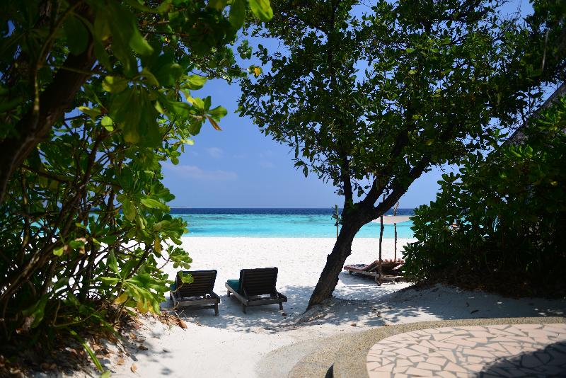 Coco Palm Dhuni Kolhu - Oda