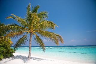 Coco Palm Dhuni Kolhu fotoÄŸrafÄ±