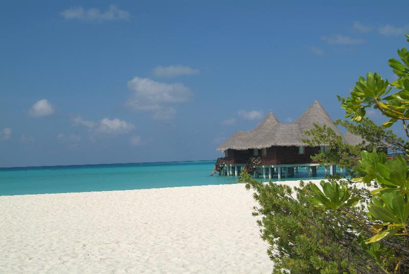 Coco Palm Dhuni Kolhu - Plaj