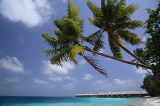 Coco Bodu Hithi fotoÄŸrafÄ±