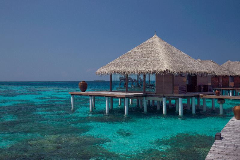 Coco Bodu Hithi - Aktivite